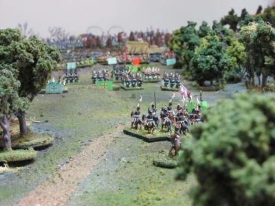 IMG_0007.jpg