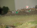 IMG_0528.jpg