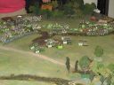 IMG_0545.jpg