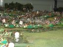 IMG_0663.jpg