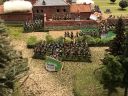 IMG_1072.JPG